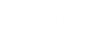 alecrim-vectors-rosmarinus-1-12 alecrim-vectors-rosmarinus-1-12
